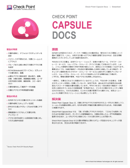 Check Point Capsule Docs（PDF）