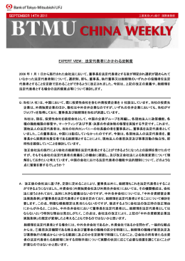 EXPERT VIEW： 法定代表者にかかわる法制度