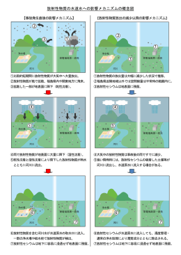 放射性物質の水道水への影響メカニズムの概念図※（PDF:345KB）