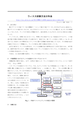 試験方法のためのウィスカ成長メカニズム - JEITA 一般社団法人電子