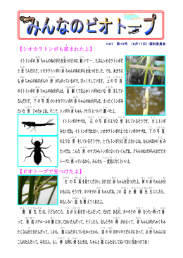 第15号