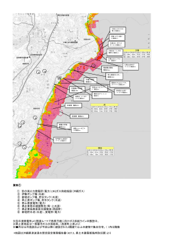 津波浸水深資料