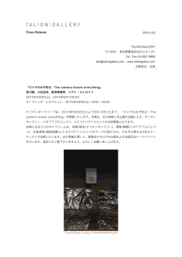 Press Release - TALION GALLERY