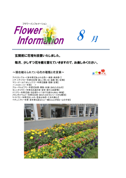 2013/8/7 Flower Information