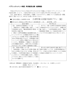 白老町第3次集中改革プラン意見に対する回答(150KBytes)