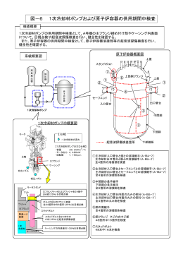 図－6 1次冷却材ポンプおよび原子炉容器の供用期間中検査