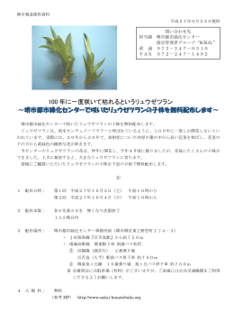 100 年に一度咲いて枯れるというリュウゼツラン ～堺市都市緑化センター