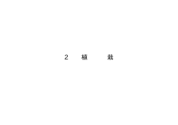 2 植栽・S2参考図
