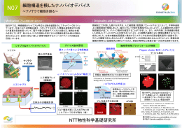 細胞構造を模したナノバイオデバイス NTT物性科学基礎研究所