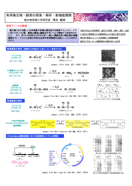 有用微生物・酵素の探索・解析・新機能開発
