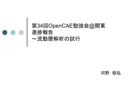 第34回OpenCAE勉強会@関東 進捗報告 ～流動層解析の試行