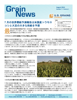 7 月の世界需給予測報告は米国産トウモロ コシと