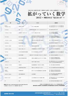 参考資料4 科学技術・学術審議会 先端研究基盤部会 数学