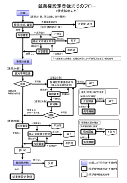 鉱業権設定登録までのフロー（特定鉱物以外）