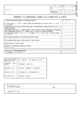 課税標準となる個別帰属法人税額又は法人税額に関する計算書