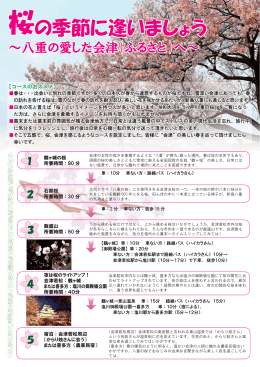 ルート3 会津の桜を巡る・楽しむ