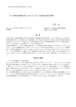 100. 神経回路網形成における R-Ras の普遍的役割の解明 生沼 泉