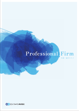 Professional Firm