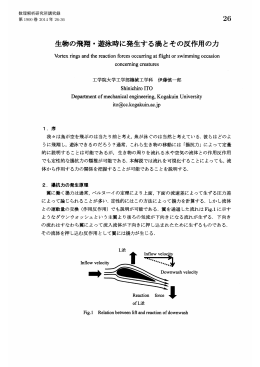 生物の飛翔・遊泳時に発生する渦とその反作用の力