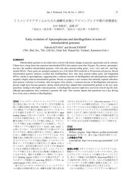 ミトコンドリアゲノムからみた渦鞭毛虫類とアピコンプレクサ類の初期進化