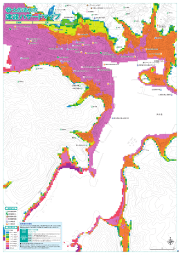 津波ハザードマップ