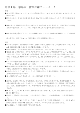 中1数学知識チェック