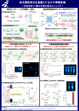 リン酸基ひとつの差を見分ける蛍光センサー