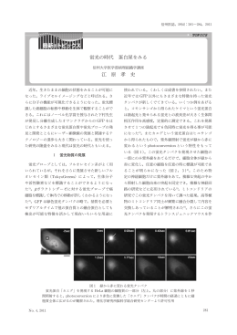 蛍光の時代 蛋白尿をみる 江 原 孝 史