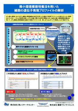 微小環境模倣培養法を用いた 細胞の遺伝子発現プロファイルの解析