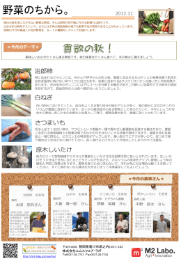 野菜のちから。 2012年11月号