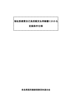 福祉医療費自己負担額支払明細書に係る記録条件仕様