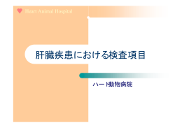 肝臓疾患における検査項目