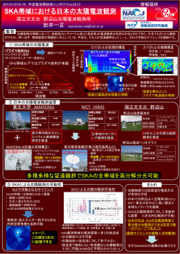 「SKA帯域における日本の太陽電波観測」岩井 一正