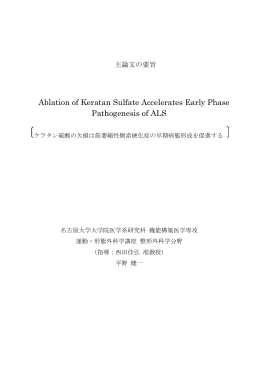 Ablation of Keratan Sulfate Accelerates Early Phase