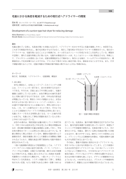 毛髪にかかる負担を軽減するための吸引式ヘアドライヤーの開発 - J