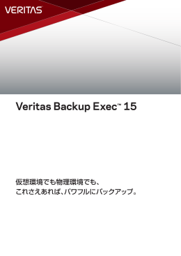 Symantec Backup Exec 15 カタログ