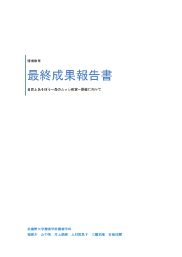 最終成果報告書