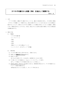 タマネギの鱗片から核酸（DNA）を抽出して観察する