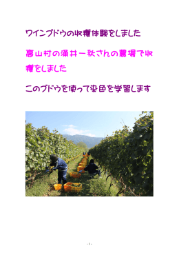 高山村ぶどう収穫学習について