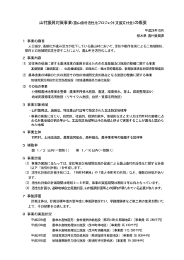 山村振興対策事業（農山漁村活性化プロジェクト支援交付金）の概要 1