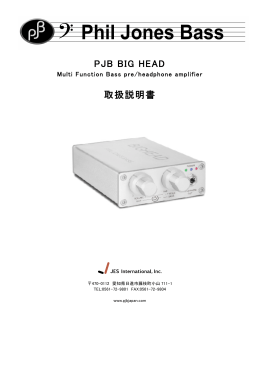 PJB BIG HEAD 取扱説明書