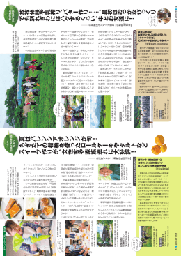 夏はバレンシアオレンジが旬！ もぎたての柑橘を使ったロールケーキや