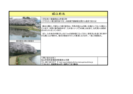 堀江新池（PDF：124KB）
