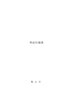 04特記仕様書[PDF：308KB]