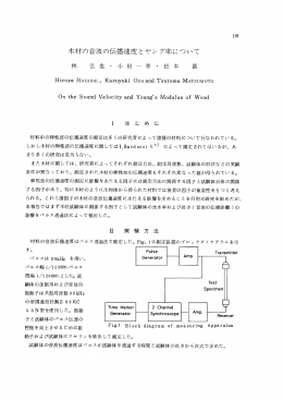 木材の音波の伝播速度とャング率について