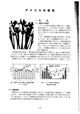 6 アイリスの切花（PDF：875KB）