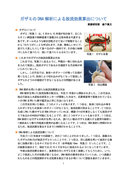 ガザミの DNA 解析による放流効果算出について