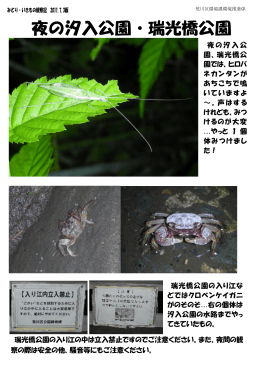 夜の汐入公園・瑞光橋公園（平成23年7月3日）（PDF：2088KB）