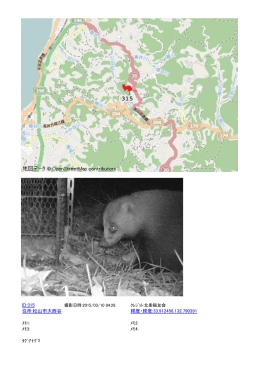 ID:315 住所:松山市大西谷 緯度・経度:33.912456,132.790391