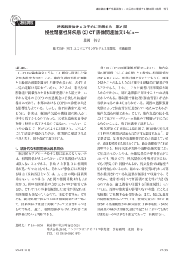 慢性閉塞性肺疾患（2）CT 画像関連論文レビュー